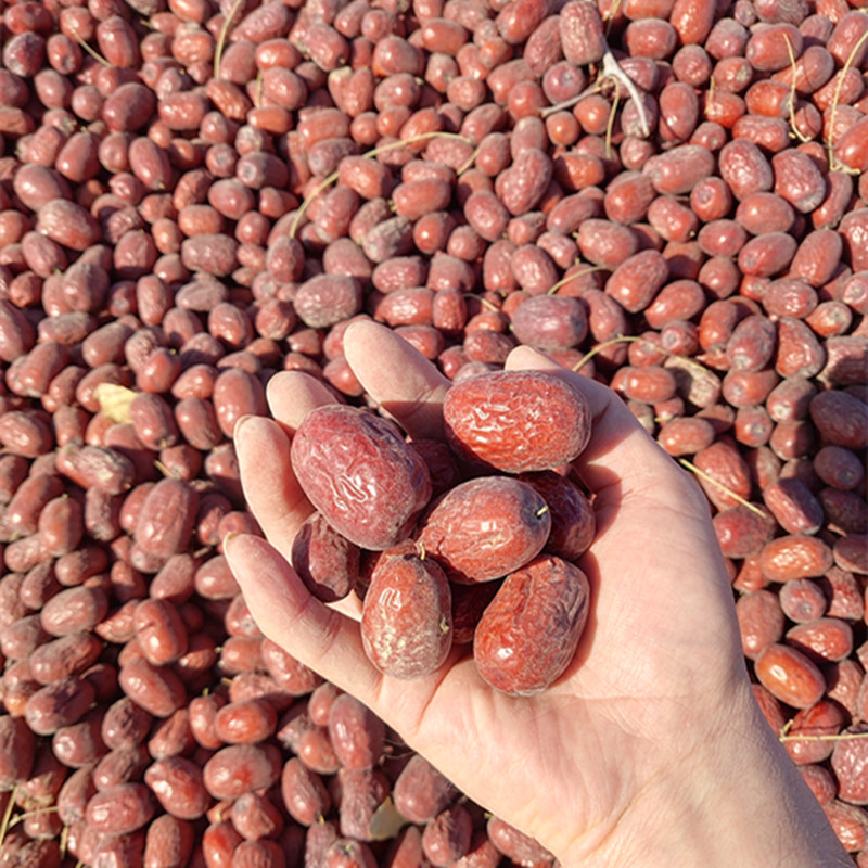Xinjiang red jujube super premium Ruoqiang gray jujube 5 kg special price uncleaned original ecological hanging dry with soil snack porridge jujube