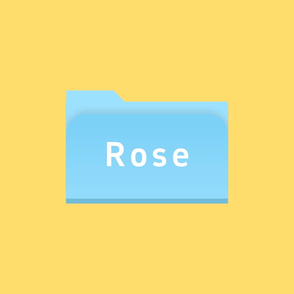Rose轻奢饰品
