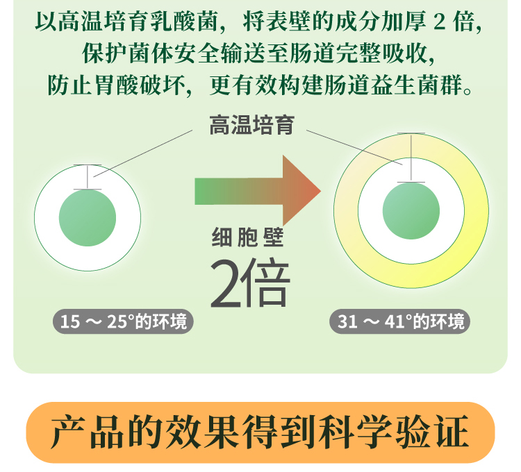 【拍2件】三得利日本防护乳酸菌素