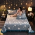 Crystal nhung tấm đơn mảnh dày quilted chống trượt san hô nhung trải giường chăn đôi lớn kang duy nhất flannel đệm chăn - Khăn trải giường