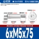 6*M5*75[5шт]