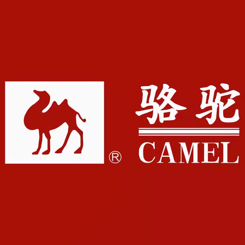 骆驼电气品牌店