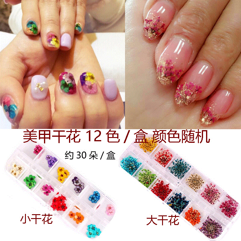 美甲干花大小干花指甲品贴花花仙子指甲油胶包邮工具用品套装
