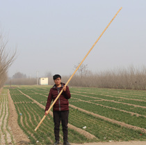 Traditional martial arts sticks for primary and secondary school students use sticks high school entrance examination sticks wooden sticks Ningling County white wax Poles