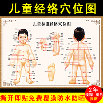 Childrens standard meridian acupoint map pediatric massage Chinese medicine massage human Meridian acupoint map Big hanging diagram whole body