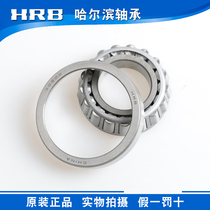 HRB Harbin Bearing 30201 30202 30203 30204 30205 30206 30207 30208