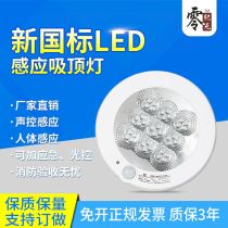 Smart fire belt emergency lights ceiling lights led voice control lights corridor sensor lights stairs human body infrared aisle