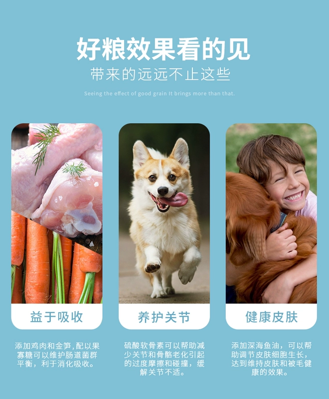 Cơm gà 15kg Chó tha mồi vàng Samoyed Husky Labrador Thức ăn cho chó trưởng thành Loại chung 30 kg - Chó Staples