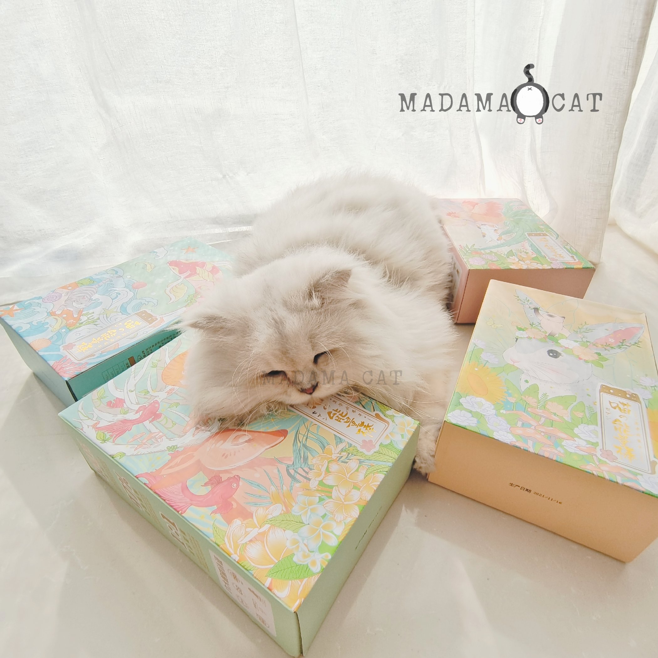 MADAMA CAT Qi Meow Raw Bone Meat Energy Bar Cat Staple Food Freeze Dried Chicken Rabbit Fish Venison 150g