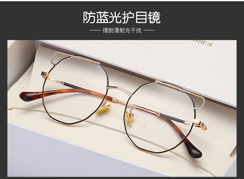 Montures de lunettes DAOMENGZHE en Metal memoire - Ref 3140019 Image 13
