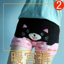  Winter warm underwear womens plus velvet warm palace physiological underwear autumn and winter thickened boxer safety anti-naked shorts