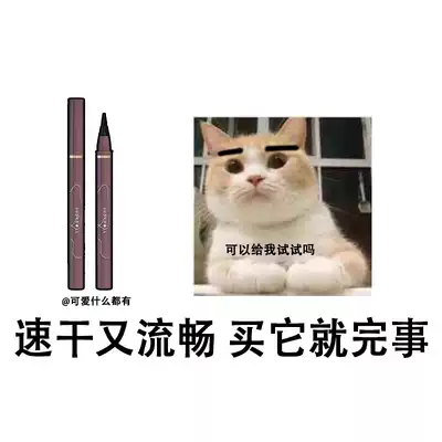 2 pieces minus 5 Judydoll orange eyeliner pen gelled pen Brown quick-drying very fine waterproof sweat-proof natural not dizzy