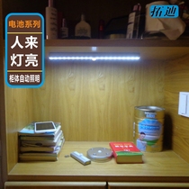 Tuodi LED wardrobe human body sensor light cabinet sensor night light LED sensor light smart wine cabinet shoe cabinet light