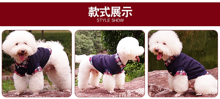 Quần áo cho chó Teddy quần áo mùa thu và mùa đông Bomi hơn gấu chó trang phục chó mèo hai chân thú cưng mùa thu và quần áo mùa đông - Quần áo & phụ kiện thú cưng