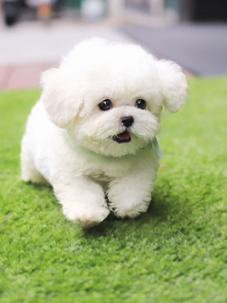 开元棋牌- 开元棋牌官网 - 开元棋牌APP下载期权导读 _ 东方财富网