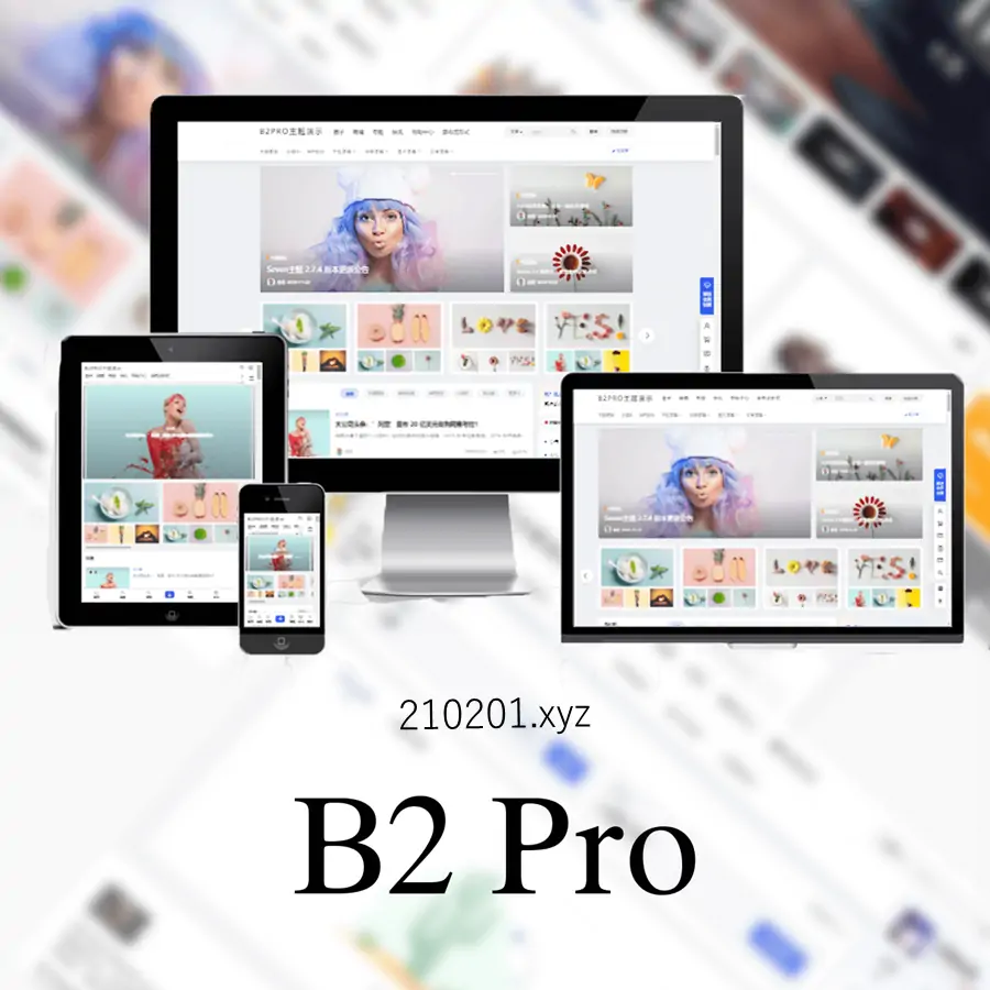 B2 PRO v5.4.2 主题最新无限制破解去授权开心版下载