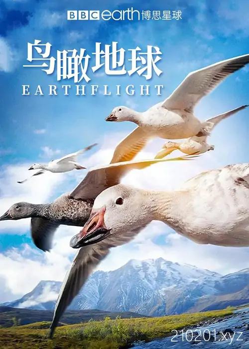 《鸟瞰地球》纪录片中英文版高清视频全集免费在线观看下载