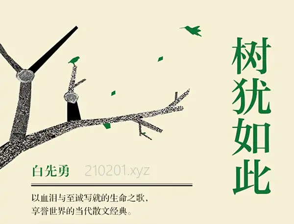 「白先勇」散文小说作品集 PDF 电子书+MP3 音频合集免费下载