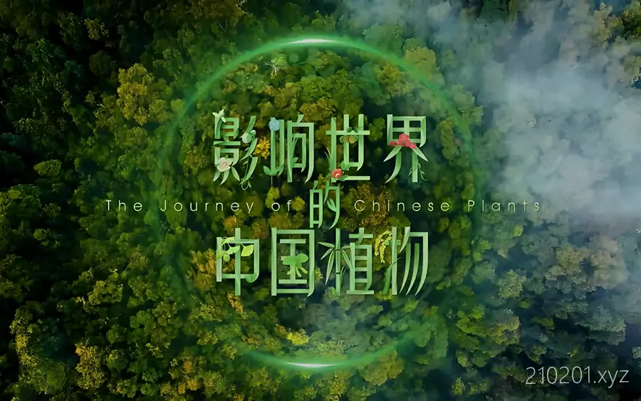 《影响世界的中国植物》纪录片全10集完整版在线观看下载