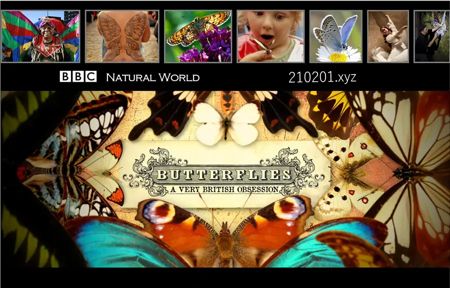 翩翩蝴蝶—英国式迷恋 Butterflies-A Very British Obsession.webp