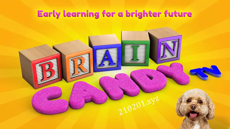 Brain Candy TV 汽车英语启蒙动画片全84集高清视频带英文字幕云盘下载