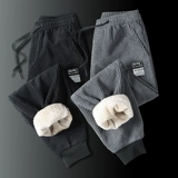 Демисезонные осенние утепленные удерживающие тепло бархатные спортивные зимние штаны