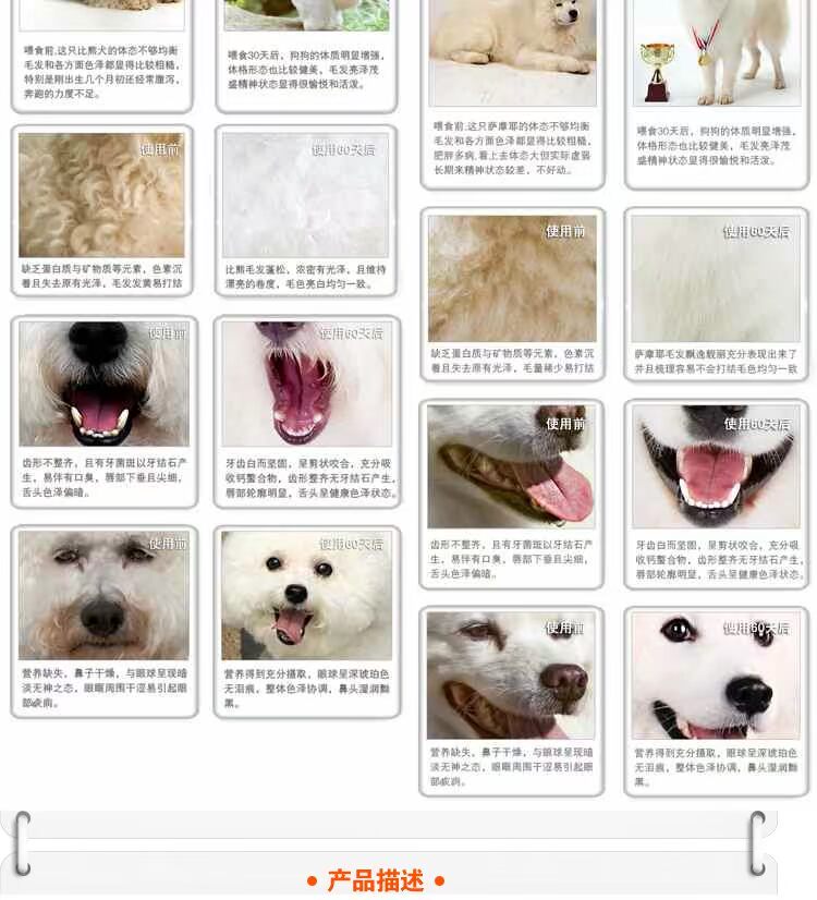 American Snow Mountain Dog Food Beauty Hair Thực phẩm tự nhiên Gà 30 lbs Husky Golden Retriever Gấu Teddy thành Pups Whole Dog Food - Chó Staples thức ăn cho chó mẹ sau sinh