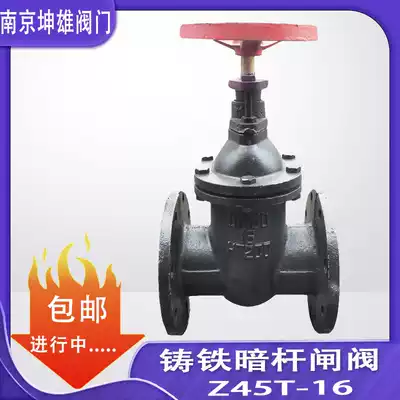 Z45T-10 16 Cast iron dark rod flange gate valve DN50 65 80 100 150 200 300 400500