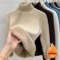 Womens Thicken Turtleneck Sweater Korean Fashion Lined Warm