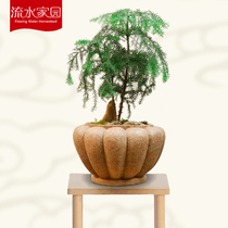 Courtyard Garden Arrangement Pendulum room Living Room Outdoor Composite Sandstone Flowerpots Balcony Landscape decoration Landscaping Home Furnishing