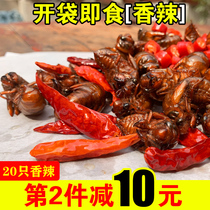 Fried-fried monkey Golden Cicada instant cicada pupae insects delicious office snacks meat snacks 20 spicy wine