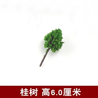 Армейский Зеленый