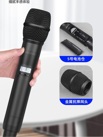 专业无线话筒防啸叫一拖二家用唱歌会议酒馆KTV卡拉OK演出麦克风