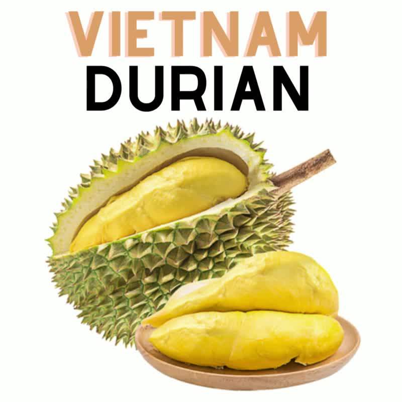 Vca Best Fresh Durian Vietnam Fresh Durian Best Price 100 High Quality Yellow Tropical Sweet