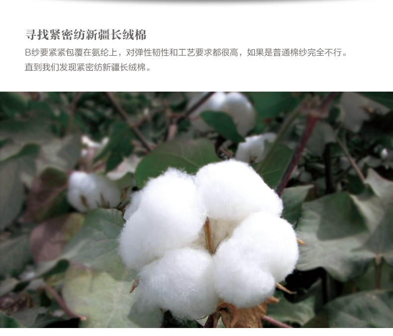 Chaussettes - collants ZJZUE LH012 - Ref 753735 Image 22