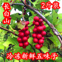  Northern schisandra fresh frozen fruit 2 kg Northeast Changbai Mountain schisandra seeds can be used as enzyme brewing wine brewing honey