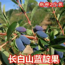  Changbai Mountain blue Honeysuckle fresh frozen fruit Fresh Heixiazishan Eggplant goats milk fruit 2 kg limited area express