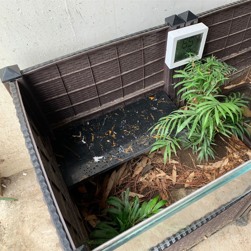 Huangyuan Turtle nest Anyuan closed-shell turtle escape ecological cave landscaping Semi-water turtle Mountain turtle turtle house high-end