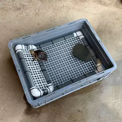 Yuanyou's home Huangyuan closed-shell turtle breeding environment Ecological breeding edge semi-aquatic turtle tortoise basking platform climbing