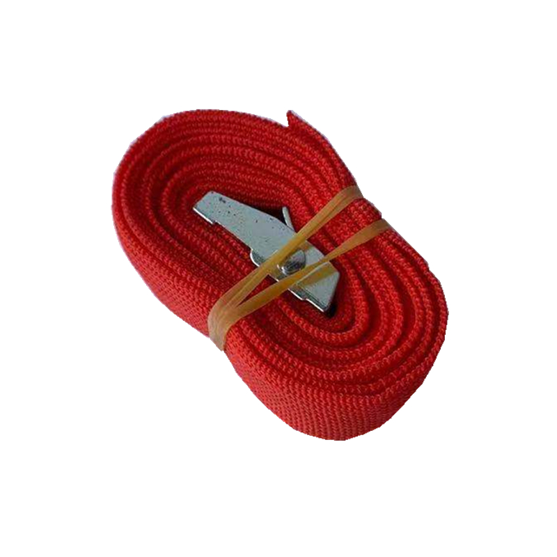 Yellow edge turtle ecological environment breeding box reinforced rope breeding box Safety fixed belt Yellow edge closed shell turtle box turtle