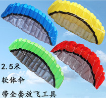 Weifang Kite 2 5m soft umbrella double line double line power paraglider stunt umbrella foreign trade red yellow blue green children