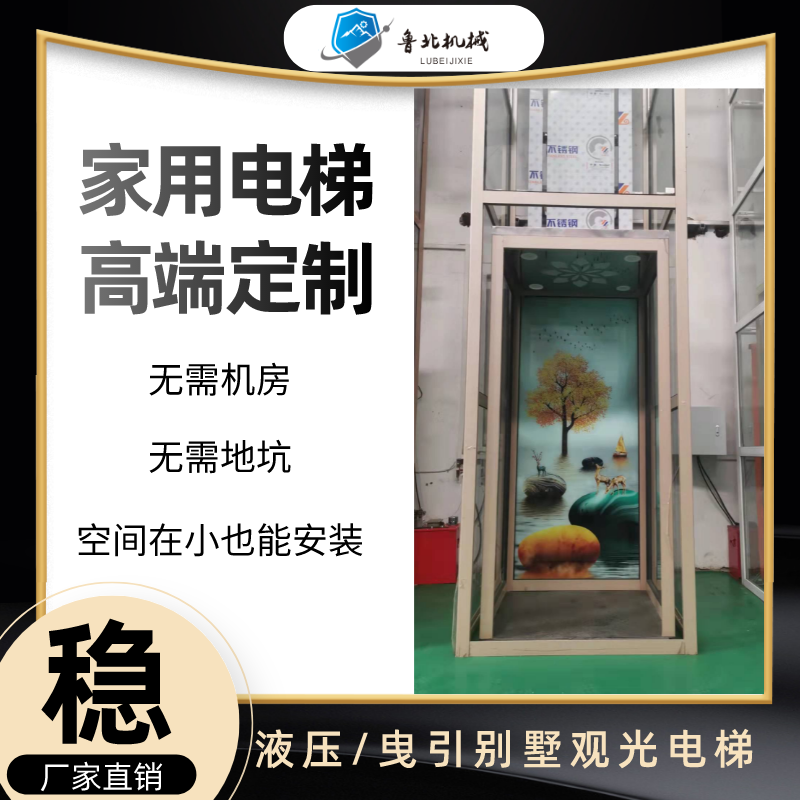 Custom Home Lift Villa Sightseeing Two Floors Three Floors Four Floors Penthouse Duplex Simple Hydraulic Traction Small Elevator DT