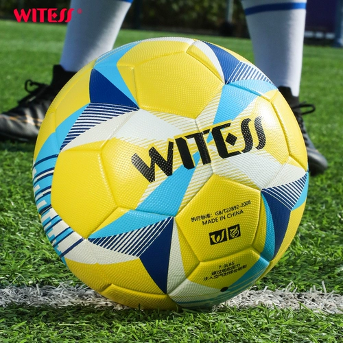 WITSS Свидетель свидетелей футбола детей первичной и средней школы Специальный бал № 4 для взрослых молодежных средней школы вступительный экзамен