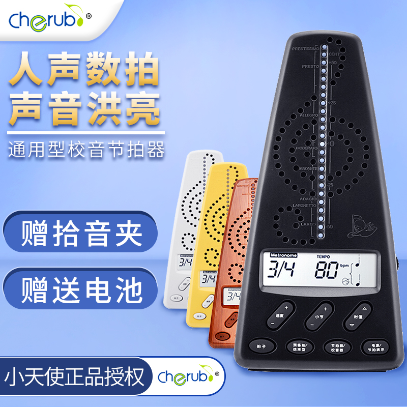 Small angel Festival selfie wmt220 people sound several shots of electronic metroneater Piano Guitar Rack Subdrum Arthrozer