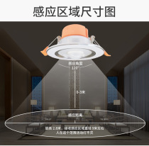 LED human body infrared sensor downlight sound and light control intelligent radar building aisle elevator entrance emergency ceiling spotlight