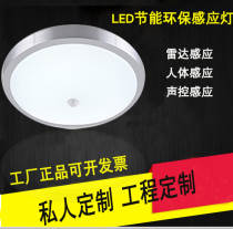 LED infrared human body induction ceiling sound and light control corridor aisle corridor balcony garage bedroom radar smart light