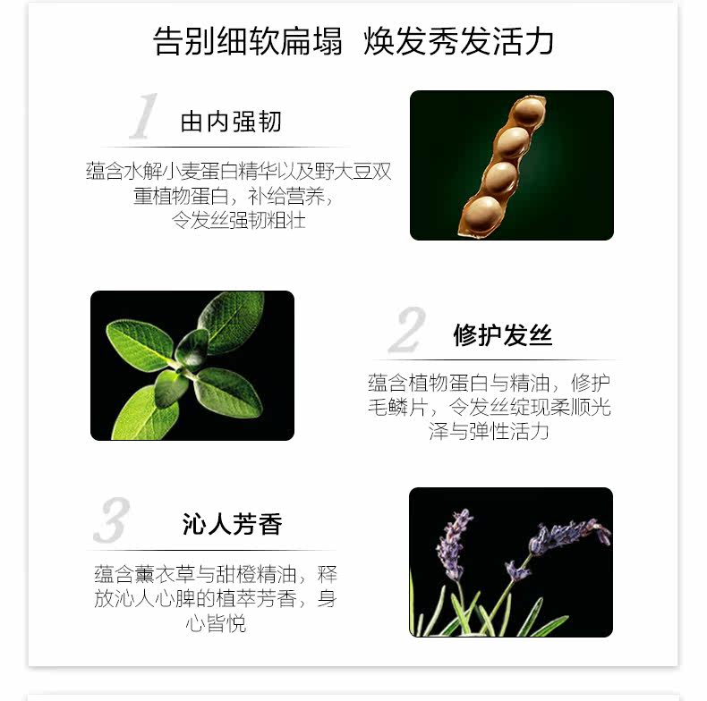 OP984478-PC- 馥 馥 O 活 活 活 O O _02.jpg