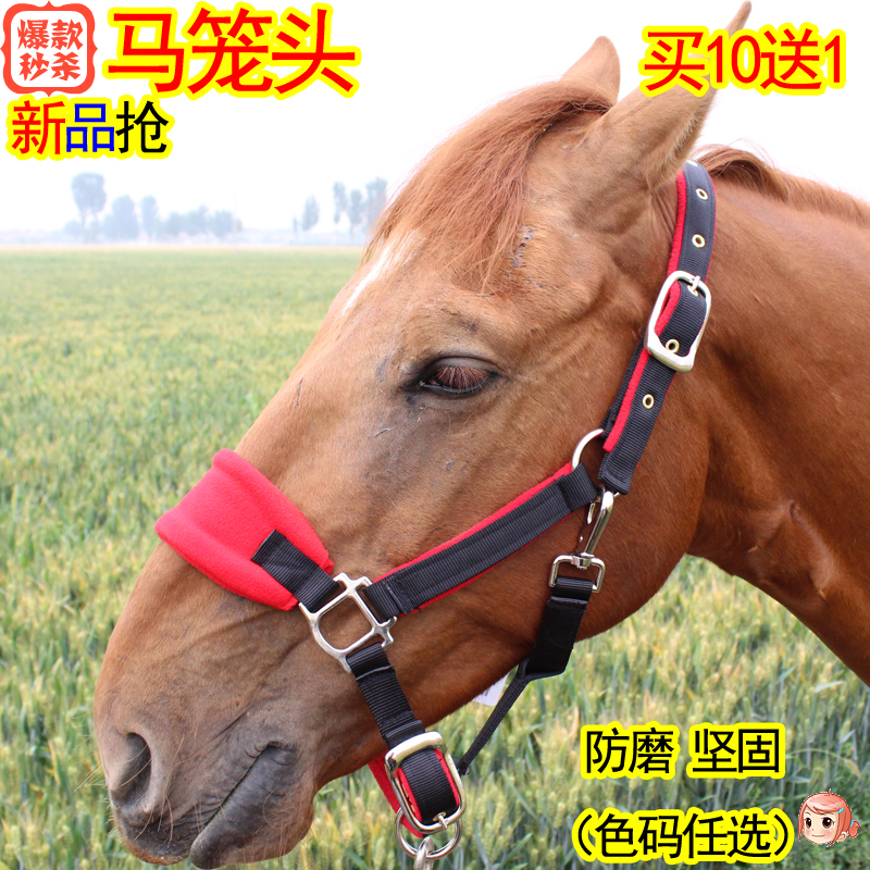 Horse cage head anti-wear Lead horse head full set supplies harness size pony faucet 10 get 1 loss