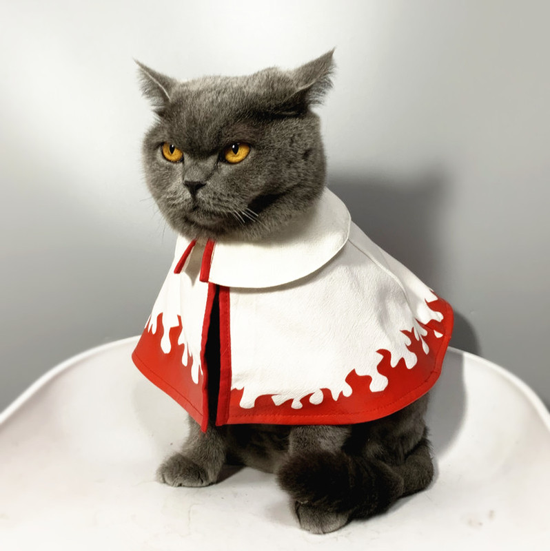 Naruto Cat Cape Cat Clothes Summer Thin Anti-Shedding Air-Conditioned Room Clothes Cosplay Ninja Costume