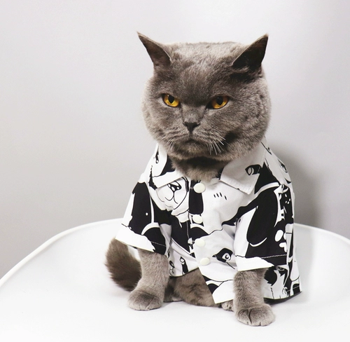 Мод! Pet Cat Bichon Bear маленькая одежда для щенка кошка лето-тонкая стиль анти-фуриозная рубашка панды